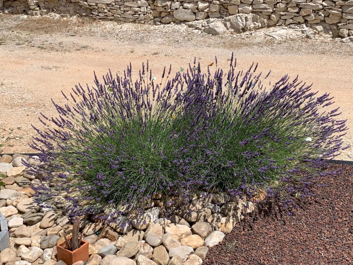Au Fil Des Cevennes Bed & Breakfast Saint-Jean-de-Maruejols-et-Avejan Bagian luar foto